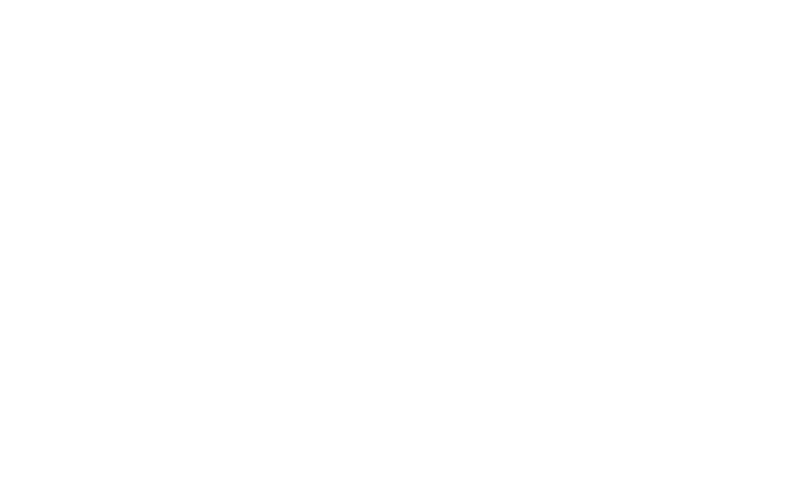 NO1